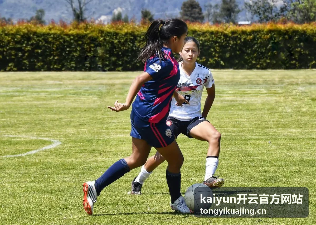 kaiyun开云一体化解决方案示意
